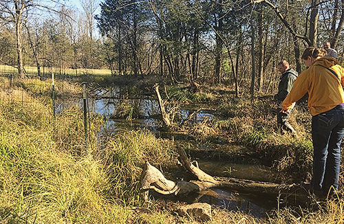 Catch the spring action at a vernal pool near you